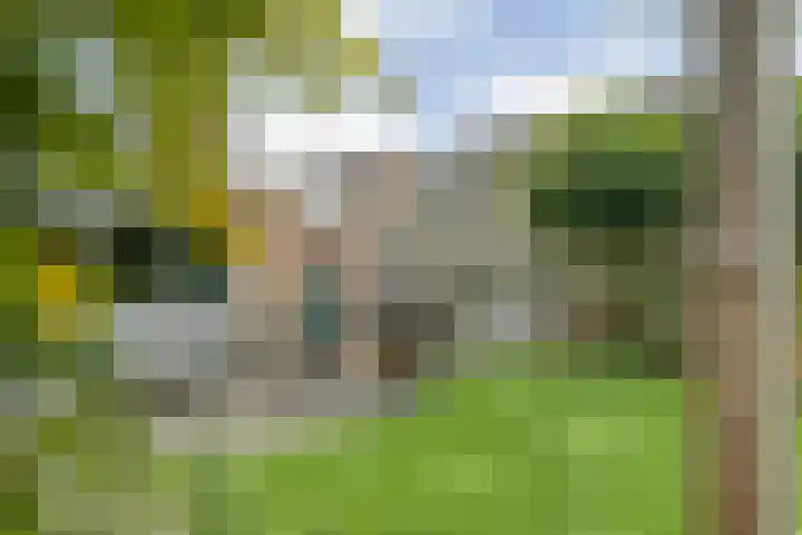 Torenvalk 127 Emmen thumbnail 4