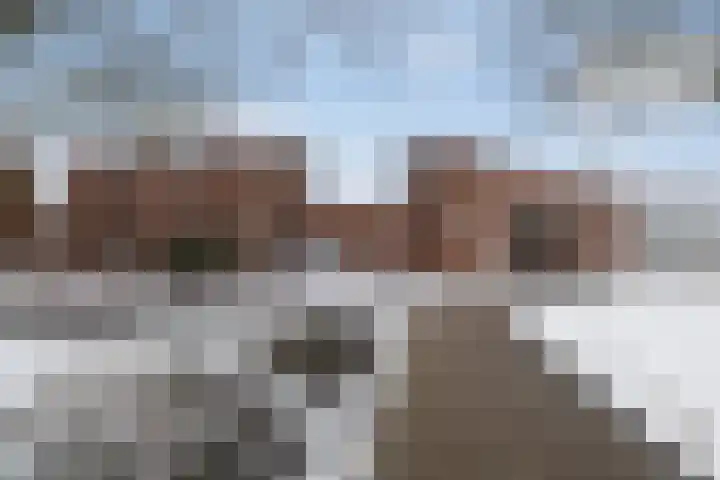 Torenvalk 81 Emmen thumbnail 32