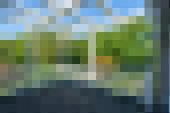 Torenvalklaan 13 Almere thumbnail 31