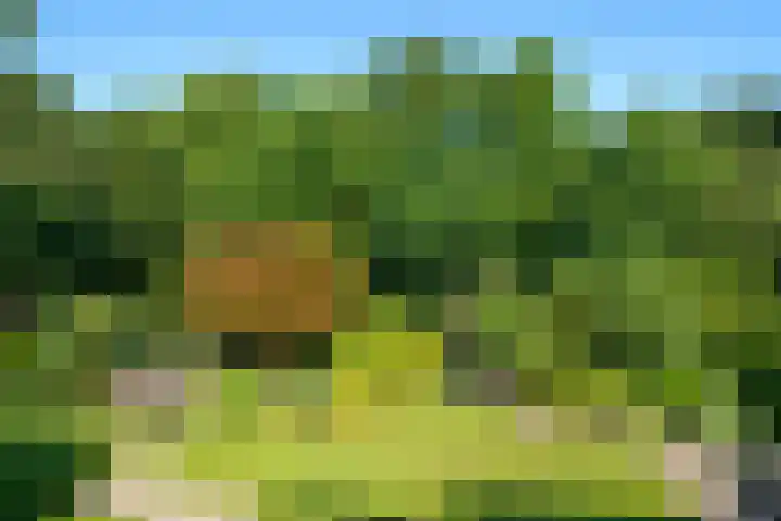 Torenvalklaan 13 Almere thumbnail 32