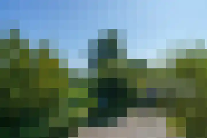 Torenvalklaan 13 Almere thumbnail 34