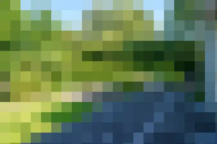 Torenvalklaan 13 Almere thumbnail 36