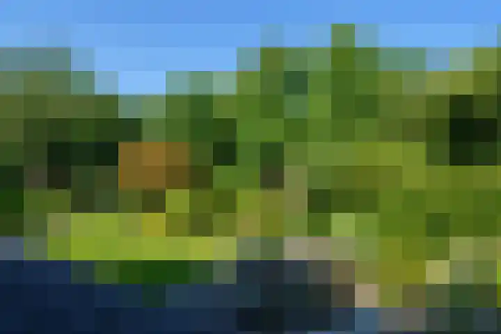 Torenvalklaan 13 Almere thumbnail 38