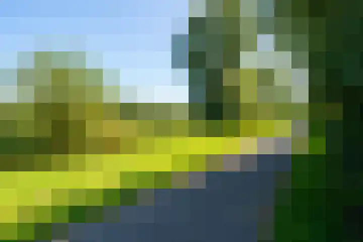 Torenvalklaan 13 Almere thumbnail 50