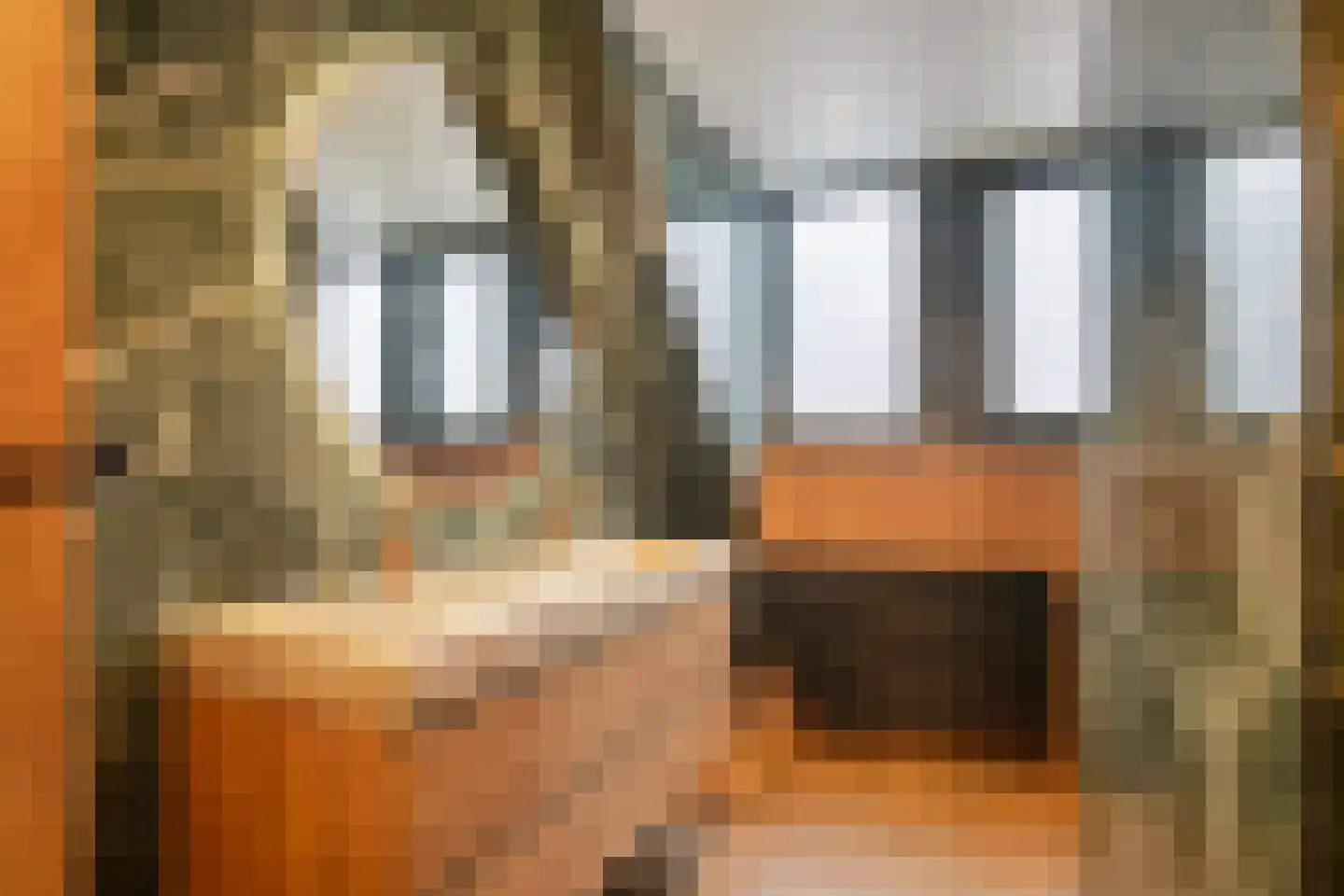 Torenveld 22 Boekel thumbnail 31