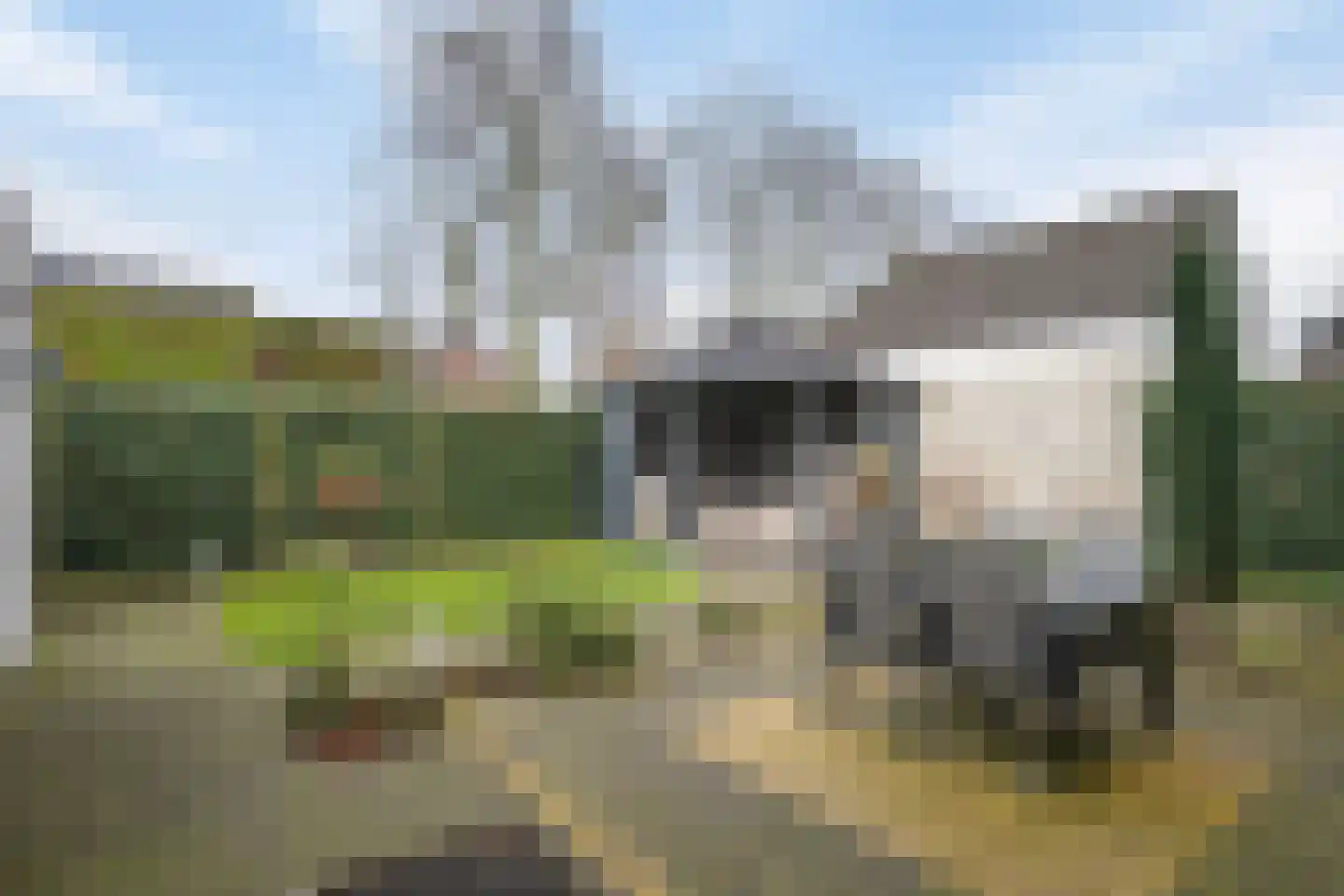 Torenveld 22 Boekel thumbnail 42