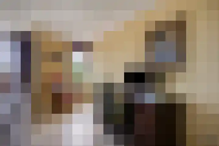 Torenwacht 131 Leiderdorp thumbnail 16