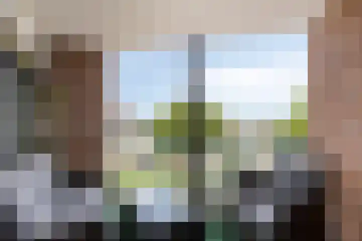 Torenwacht 131 Leiderdorp thumbnail 20