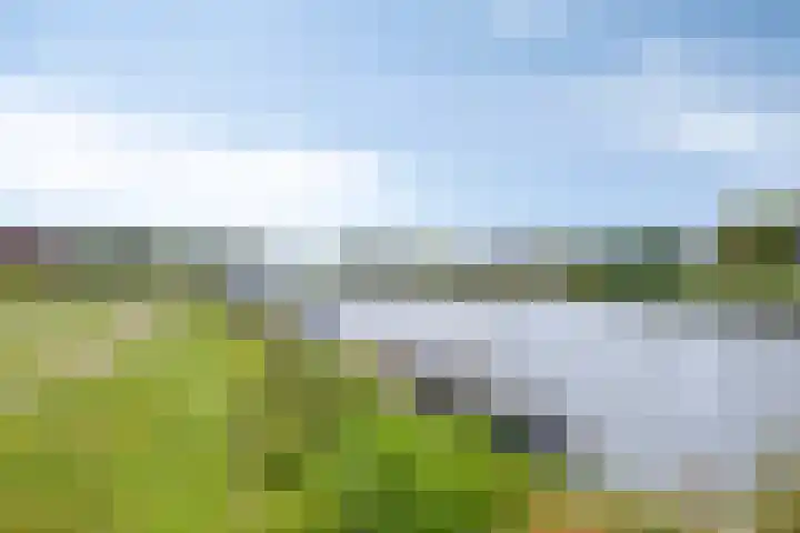 Torenwacht 131 Leiderdorp thumbnail 36