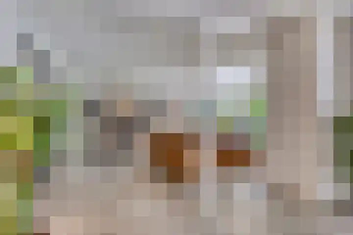 Torenweg 17 Epe thumbnail 13