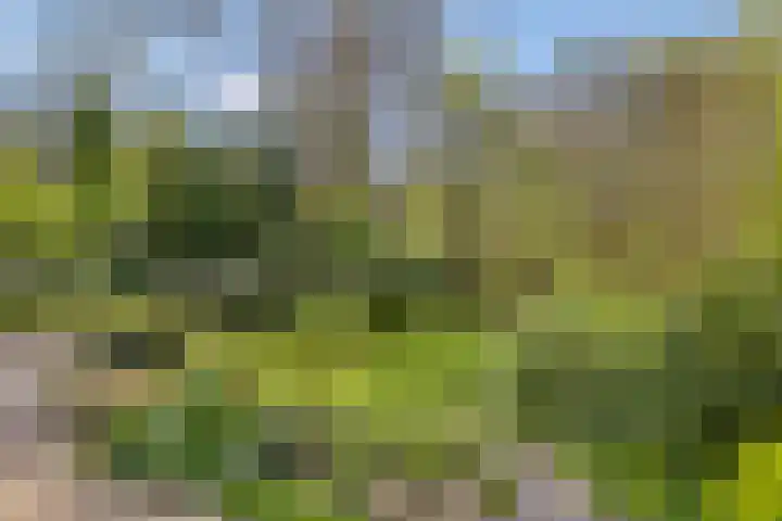 Torenweg 17 Epe thumbnail 38