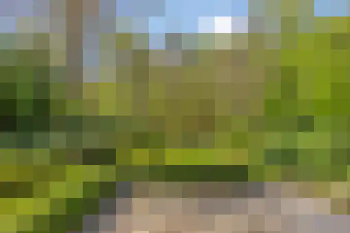 Torenweg 17 Epe thumbnail 39