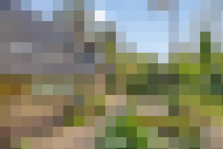 Torenweg 17 Epe thumbnail 47