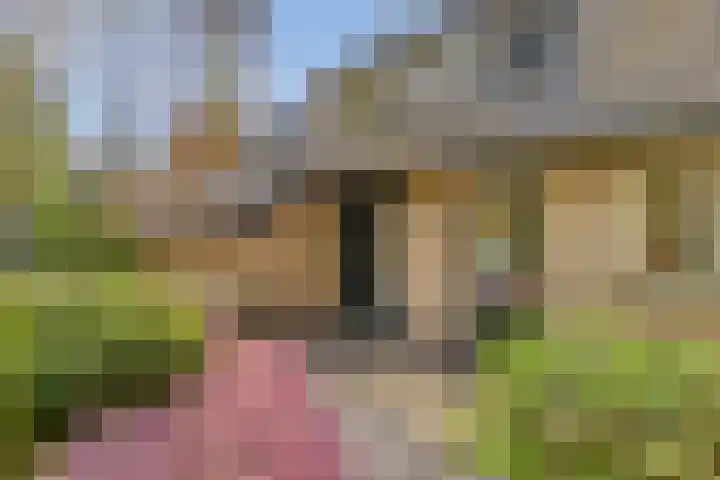 Torenweg 17 Epe thumbnail 7