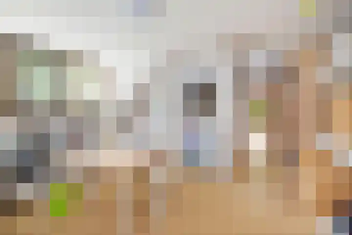 Torenweg 36 Epe thumbnail 25