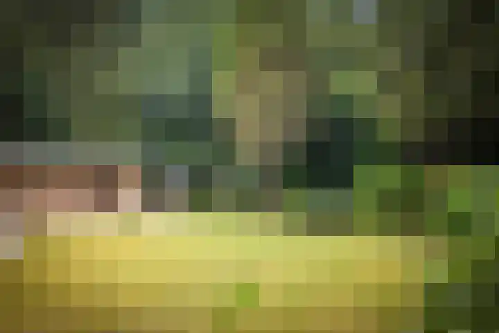 Torenweg 36 Epe thumbnail 32