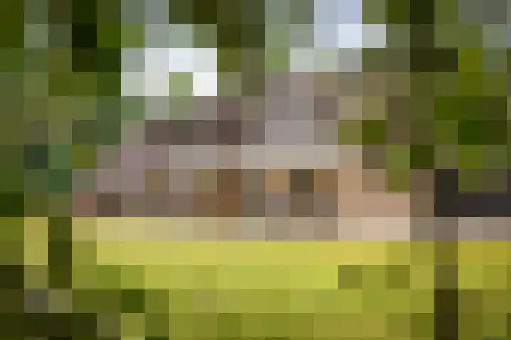 Torenweg 36 Epe thumbnail 34