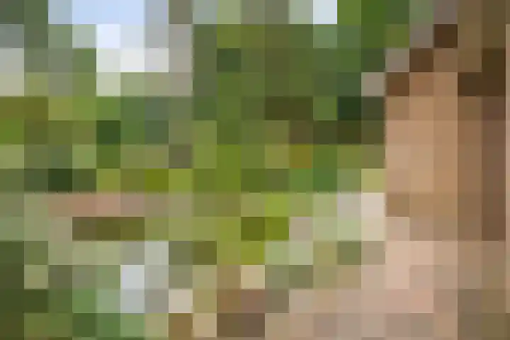 Torenweg 36 Epe thumbnail 36
