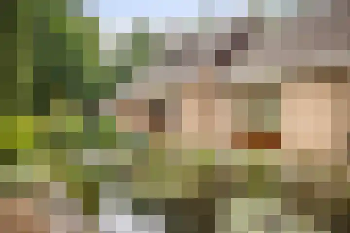 Torenweg 36 Epe thumbnail 37