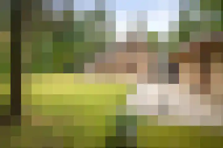 Torenweg 36 Epe thumbnail 39