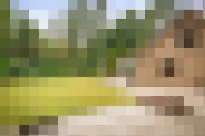 Torenweg 36 Epe thumbnail 40