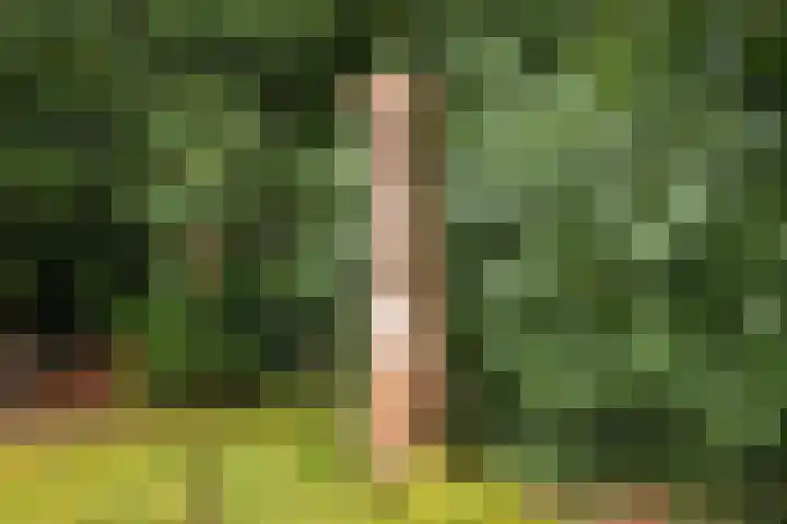 Torenweg 36 Epe thumbnail 42