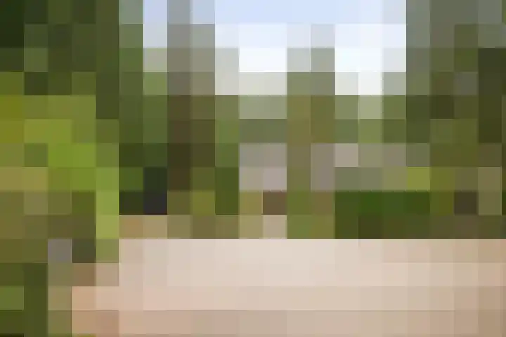 Torenweg 36 Epe thumbnail 46
