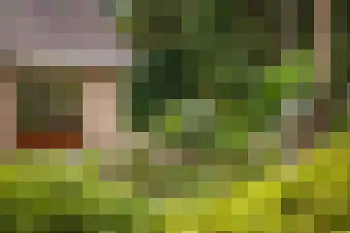 Torenweg 36 Epe thumbnail 47