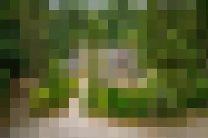 Torenweg 36 Epe thumbnail 48