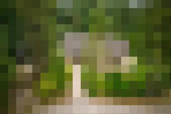 Torenweg 36 Epe thumbnail 55