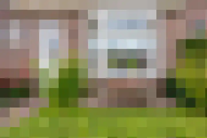 Torenweg 36 Warffum thumbnail 4