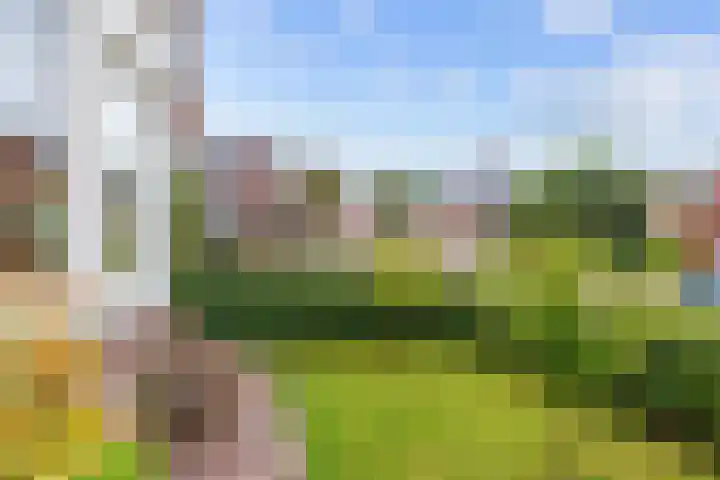 Torenweg 36 Warffum thumbnail 5