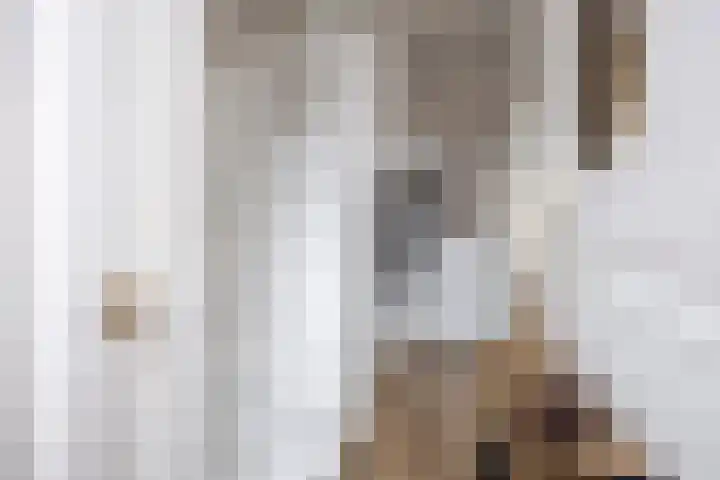 Torenweg 36 Warffum thumbnail 7