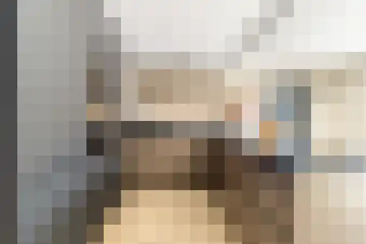 Tormentil 1 Limmen thumbnail 14