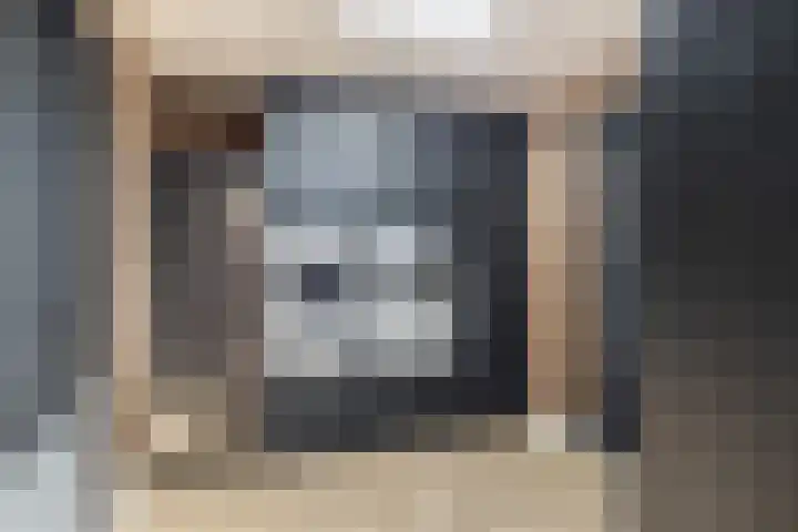 Tormentil 1 Limmen thumbnail 23