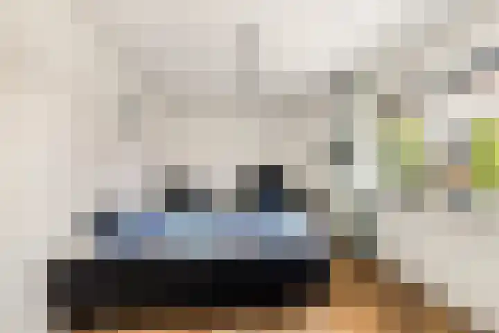 Tormentil 1 Limmen thumbnail 26
