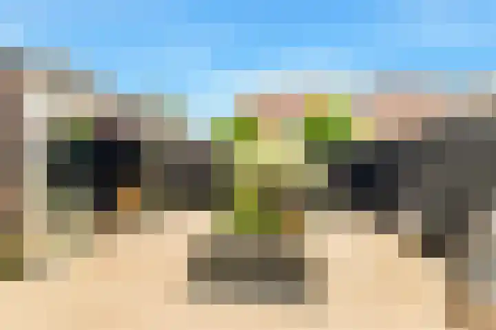 Tormentil 1 Limmen thumbnail 39