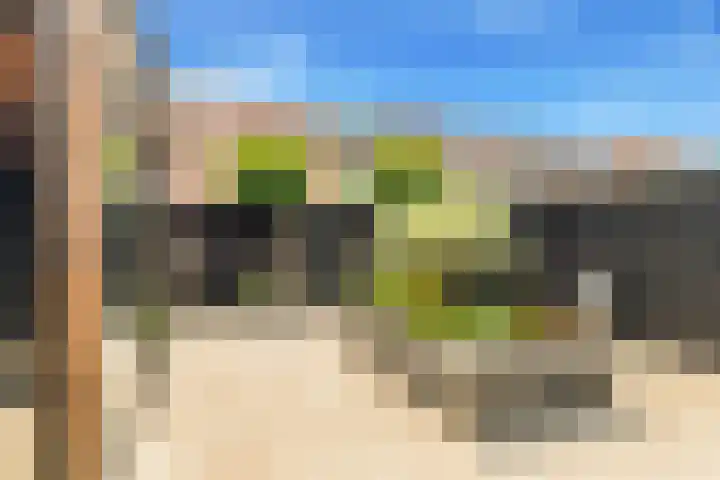 Tormentil 1 Limmen thumbnail 40