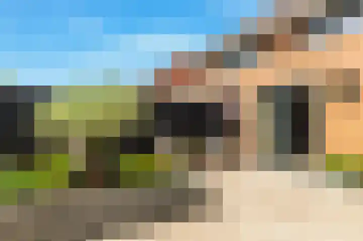 Tormentil 1 Limmen thumbnail 41