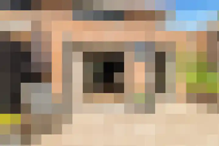 Tormentil 1 Limmen thumbnail 42