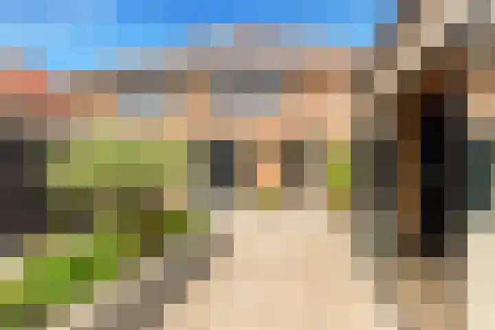 Tormentil 1 Limmen thumbnail 43