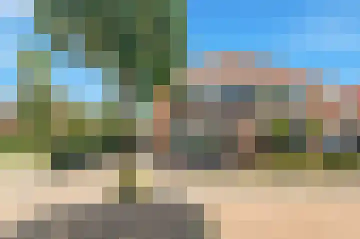 Tormentil 1 Limmen thumbnail 48
