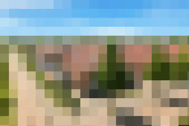 Tormentil 1 Limmen thumbnail 49