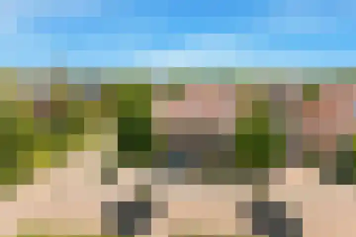 Tormentil 1 Limmen thumbnail 50