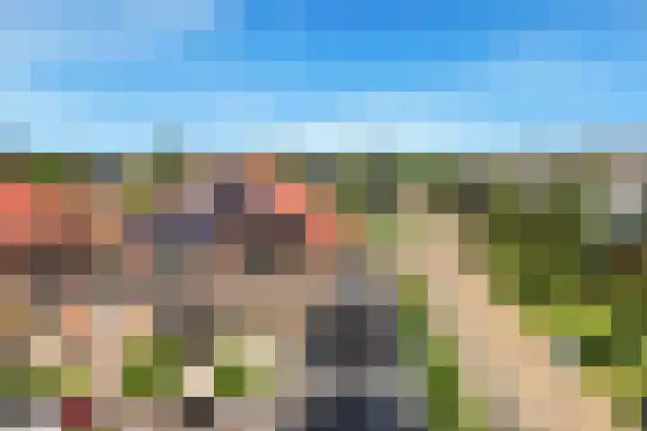 Tormentil 1 Limmen thumbnail 51