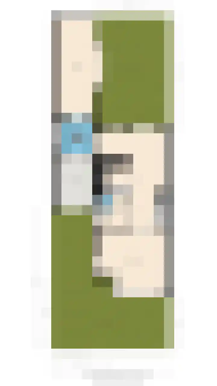 Tormentil 1 Limmen thumbnail 57
