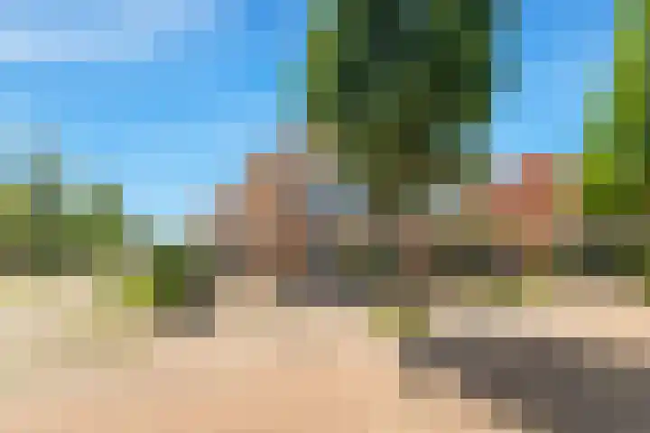 Tormentil 1 Limmen thumbnail 7