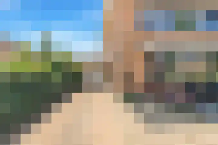 Tormentil 1 Limmen thumbnail 8