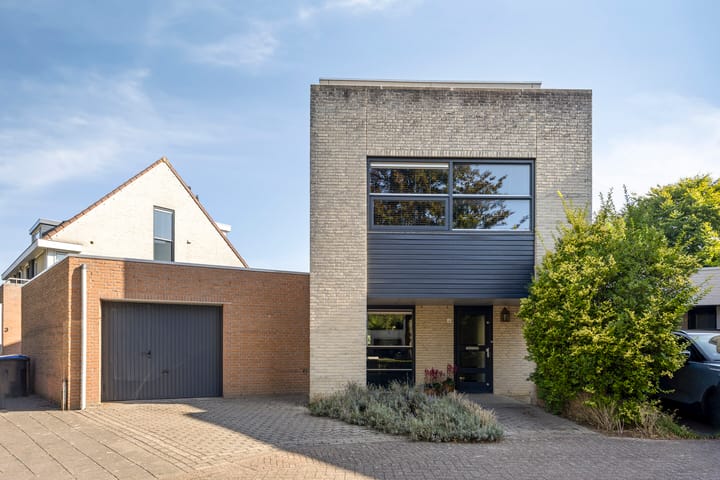 Tormentil 4 in Berkel-Enschot foto