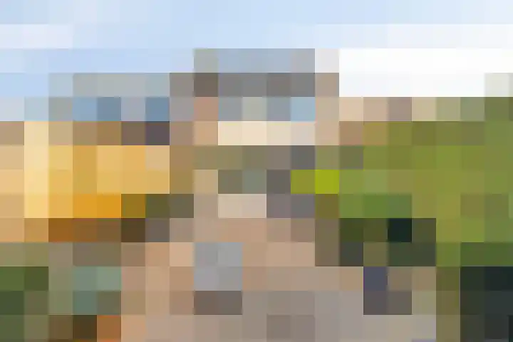 Tormentil 4 Oldenzaal thumbnail 24